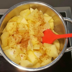 Apfel Streuselkuchen 1
