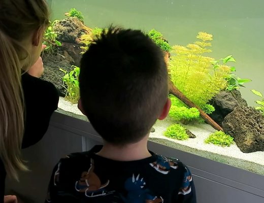 Kids Aquarium